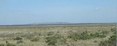 Farm and Ranch in Borden County, Texas