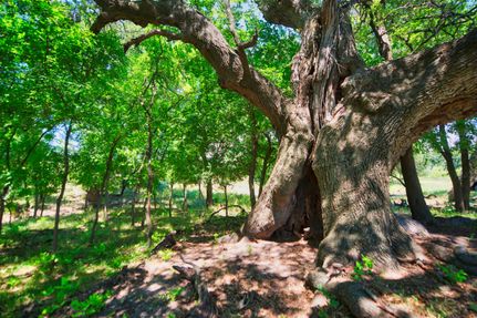 Recreational Property in Comanche County, Texas