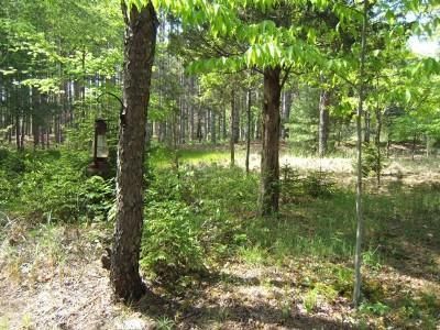 Homesite in Ottawa County, Michigan