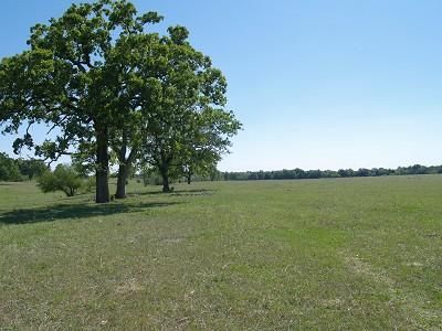 Farm and Ranch in Bastrop County, Texas
