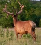 Farm and Ranch in Johnston County, Oklahoma