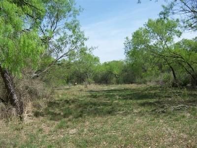 Land in Frio County, Texas