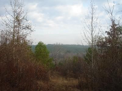 Land in Washington County, Georgia