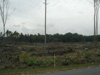 Land in Greensville County, Virginia
