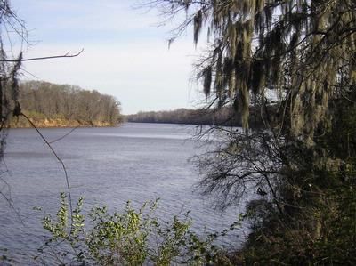 Farm and Ranch in Dallas County, Alabama