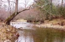 Farm and Ranch in Polk County, Arkansas
