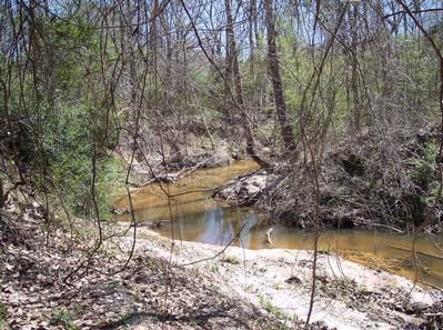 Land in Marengo County, Alabama