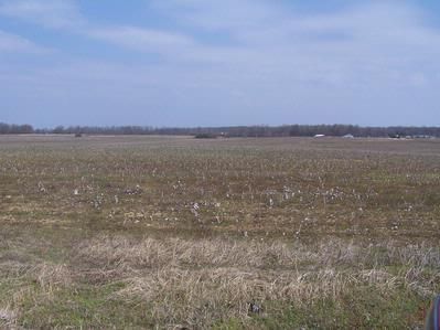 Land in Lincoln County, Tennessee