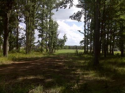 Oceanfront Property in Ouachita Parish, Louisiana