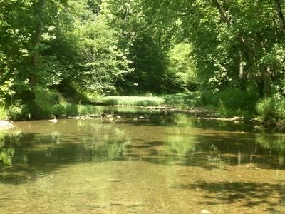 Farm and Ranch in Jackson County, Alabama