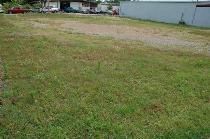 Timberland Property in Polk County, Arkansas