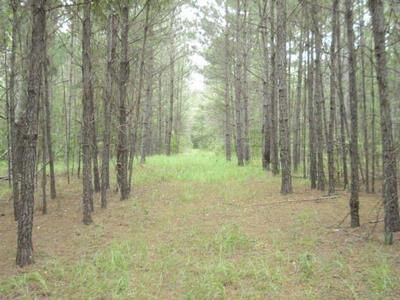 Farm and Ranch in Chambers County, Alabama