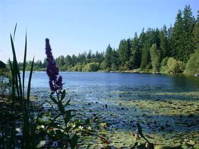 Farm and Ranch in King County, Washington