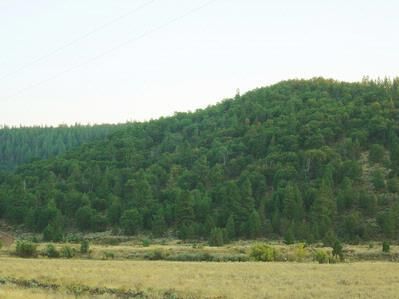 Farm and Ranch in Lassen County, California