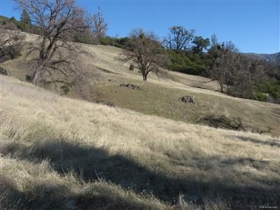 Farm and Ranch in Mendocino County, California