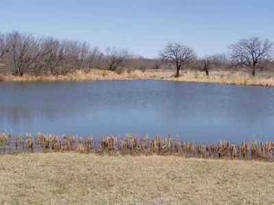 Farm and Ranch in San Saba County, Texas
