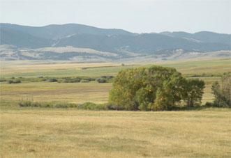 Farm and Ranch in Fergus County, Montana