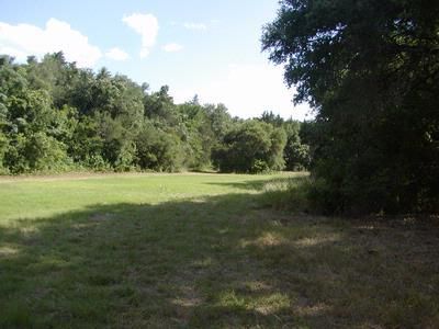 Farm and Ranch in Fayette County, Texas