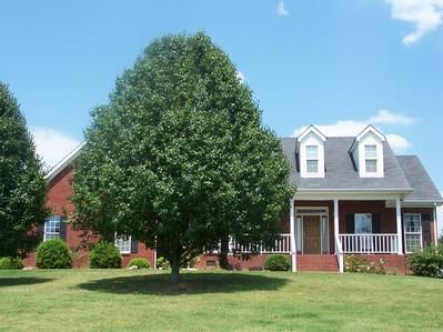 Farm and Ranch in Giles County, Tennessee