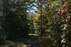 Farm and Ranch in Elmore County, Alabama