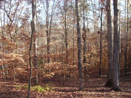 Farm and Ranch in Oconee County, South Carolina