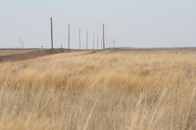Farm and Ranch in Hale County, Texas