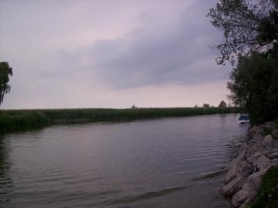 Homesite in Tuscola County, Michigan