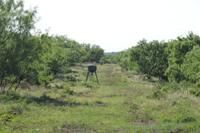 Land in Throckmorton County, Texas