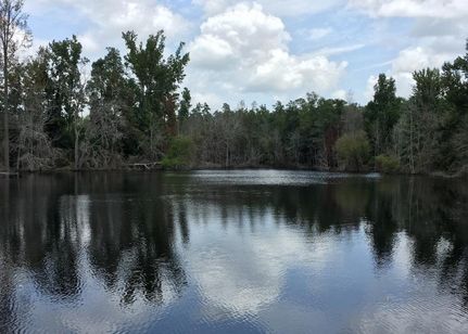 Farm and Ranch in Aiken County, South Carolina