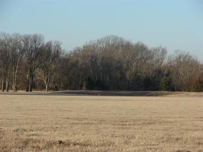 Farm and Ranch in Lamar County, Texas