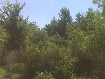 Land in Jackson Parish, Louisiana