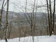 Land in Windsor County, Vermont