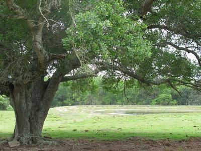 Land in Washington County, Texas