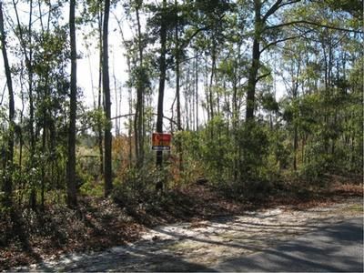 Farm and Ranch in Hampton County, South Carolina