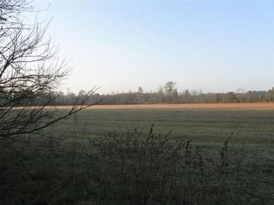 Land in Dorchester County, South Carolina