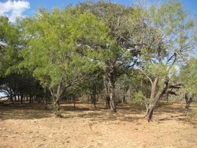 Land in Wilson County, Texas