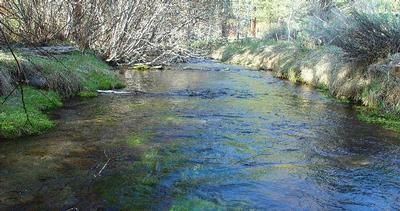 Farm and Ranch in Shasta County, California