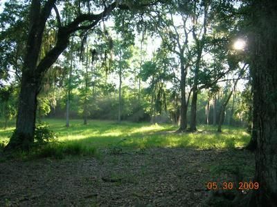 Farm and Ranch in Gadsden County, Florida