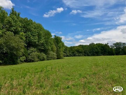 Farm and Ranch in Pope County, Illinois