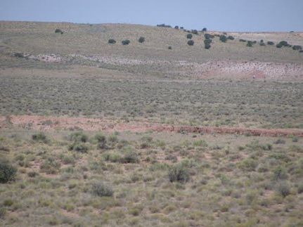 Farm and Ranch in Apache County, Arizona