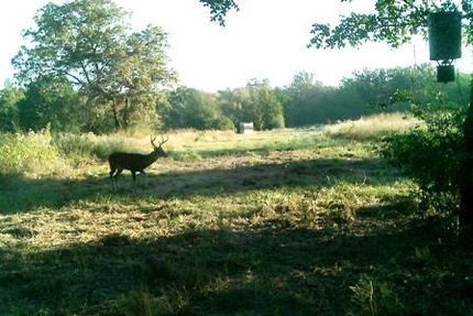 Undeveloped Land in Freestone County, Texas