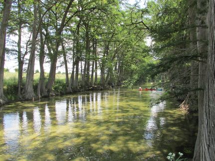 Timberland Property in Bandera County, Texas