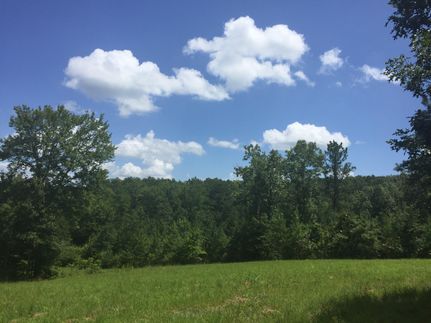 Timberland Property in Cherokee County, Alabama