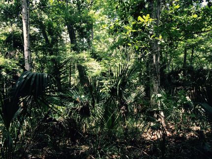 Recreational Property in Hernando County, Florida