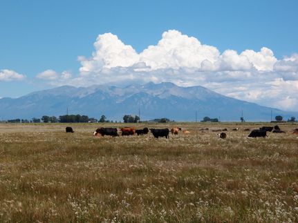 House in Conejos County, Colorado