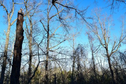 Hunting Property in Choctaw County, Oklahoma