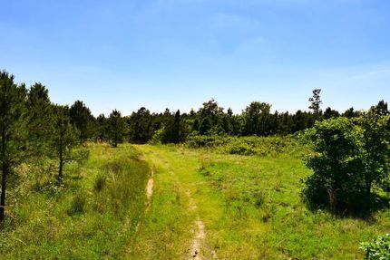 Undeveloped Land in Pushmataha County, Oklahoma