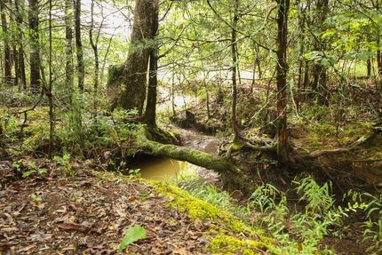 Farm and Ranch in Yell County, Arkansas