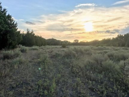 Timberland Property in Dewey County, Oklahoma