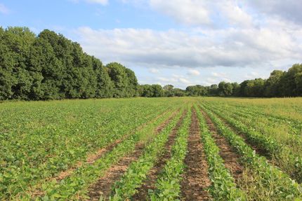 Recreational Property in Osage County, Oklahoma